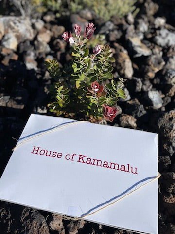 Shorty Strapless Muʻu - Lehua- S